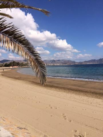 Condado De Alhama Appartement